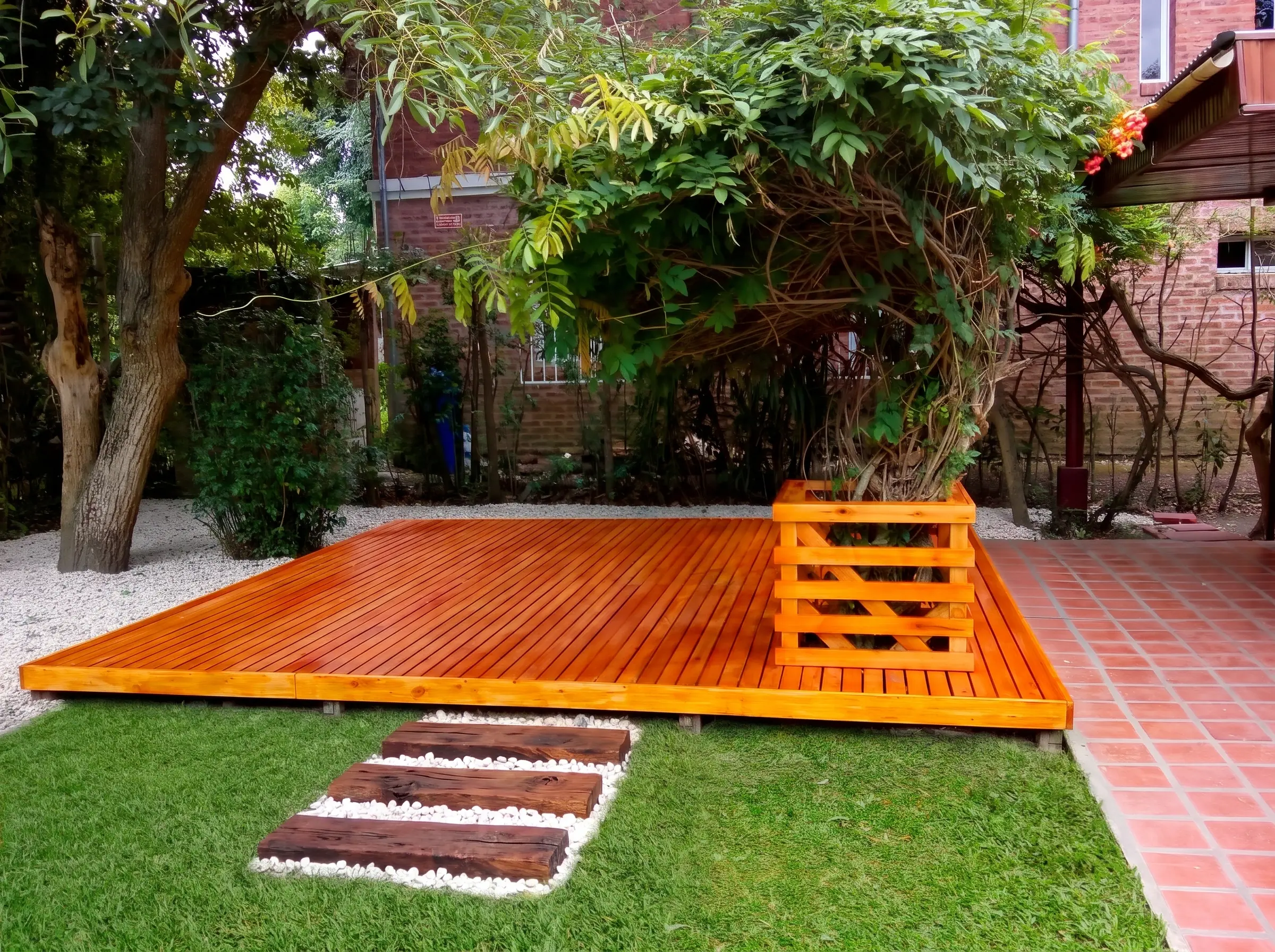 Deck Matero - Foto 1 (Eucalipto Grandis en Ruta 2 KM 50, Buenos Aires)
